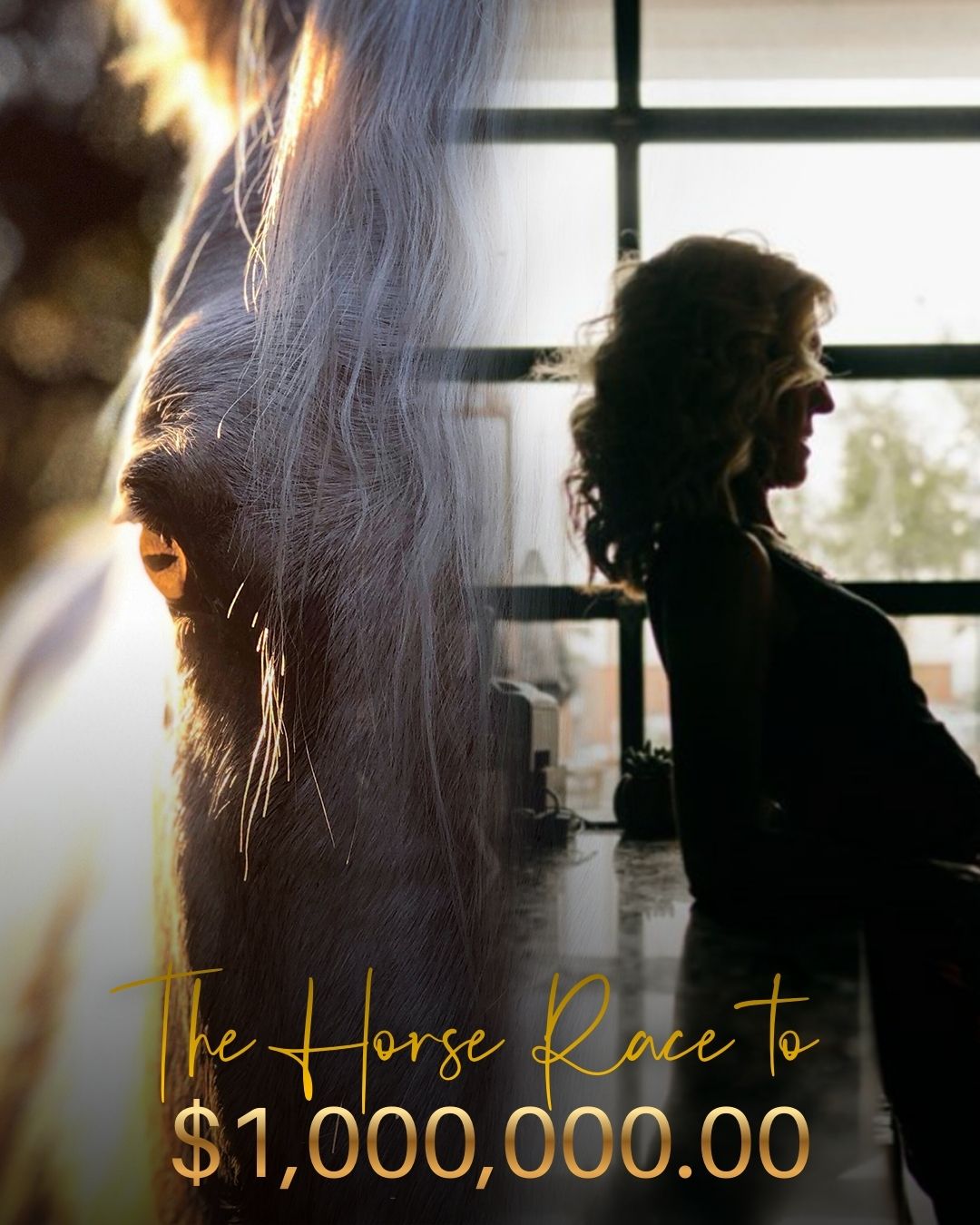 The HORSE RACE to $1,000,000