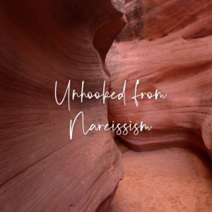 Unhooked from Narcissism