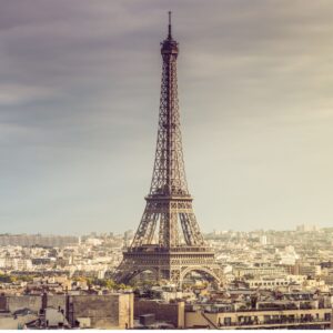 VIP The Femme Cervau